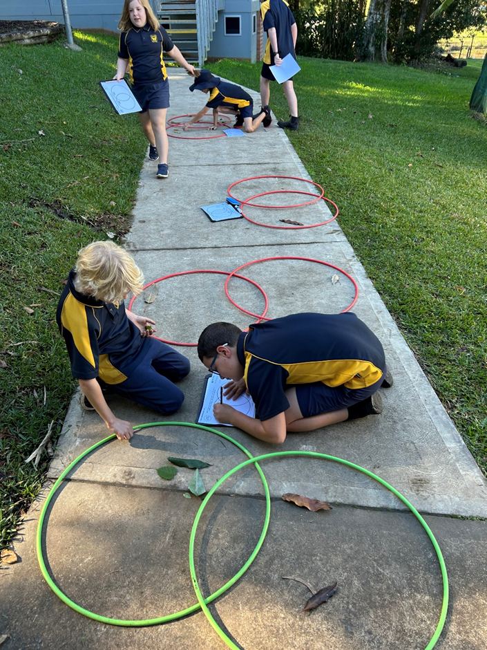 Students outdoors classifying leaves by properties, using hoops for Venn diagrams in a maths lesson